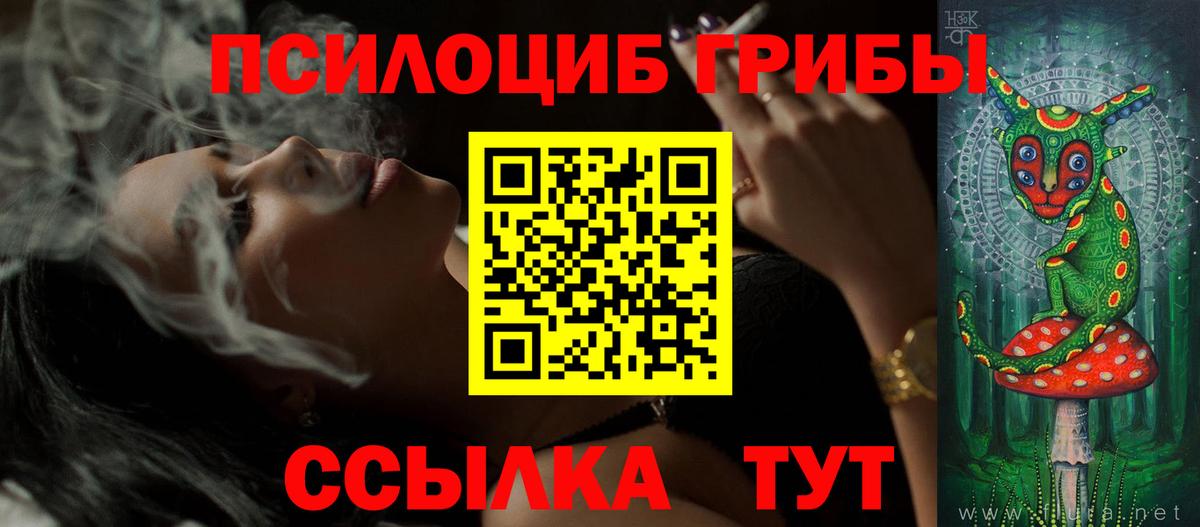 Галлюциногенные грибы GOLDEN TEACHER  Галлюциногенные грибы Magic Shrooms  Семилуки  Вход с VPN 